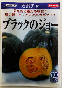 yIJ{`zubÑW[ yTJ^zzi100j؎/TJ^̃^l[t܂]