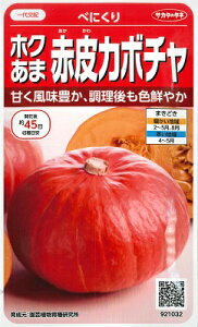 �y�z�N���ܐԔ�J�{�`���z�ׂɂ���y�T�J�^�̃^�l�z�i6���j��؎�[�t�܂�]921032