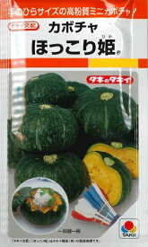 【ミニカボチャ】ほっこり姫 【タキイ種苗】（9粒）野菜種[春まき]RF