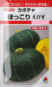 �y�J�{�`���z�ق����肦�т��y�^�L�C��c�z�i9���j��؎�[�t�܂�]RF