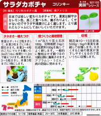袋裏→クリックして拡大