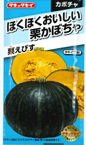 �y�J�{�`���z�I���т��y�^�L�C��c�z�i12���j��؎�[�t�܂�]ANK025