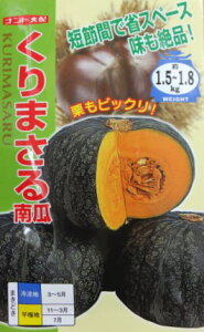 yJ{`z܂yigzzi8j؎/igc[t܂]