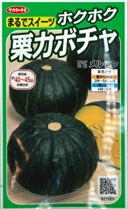 yJ{`zw yTJ^̃^lzi6.5mlj؎[t܂]921001yRCPz