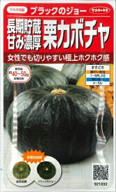 【栗カボチャ】ブラックのジョー 【サカタ交配】（6粒）野菜種/サカタのタネ[春まき]