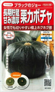 yIJ{`zubÑW[ yTJ^zzi6j؎/TJ^̃^l[t܂]