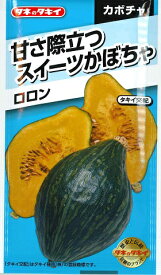 【カボチャ】ロロン【タキイ種苗】（7粒）野菜種[春まき]