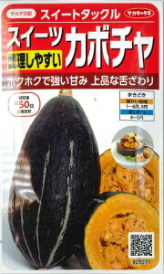 yXC[cJ{`zXC[g^bNyTJ^zzi6j؎/TJ^̃^l[t܂]921071