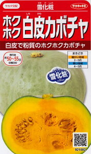 yቻρzzNzNJ{` yTJ^zzi6.5mlj؎/TJ^̃^l[t܂]921002