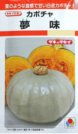 【カボチャ】夢味(ゆめみ)【白皮かぼちゃ】【タキイ交配】（9粒）野菜種/タキイ種苗[春まき]RF