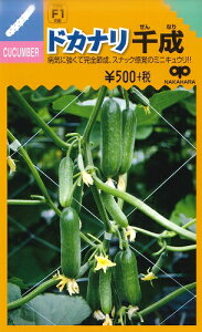 �y�~�j�L���E���z�h�J�i���琬 �y�����̎��F1��z�z�i8���j��؎�[�t�܂�]