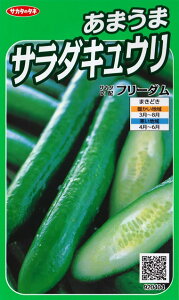 �y�t���[�_���z���܂��܃T���_�L���E�� �y�T�J�^��z�z�i18���j��؎�/�T�J�^�̃^�l[�t�܂�]920404