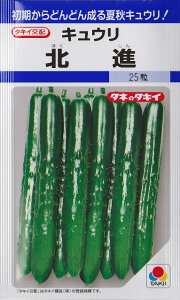 yLEzki y^LCczi22j؎[t܂]DF