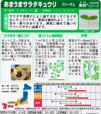 袋裏〜クリックして拡大