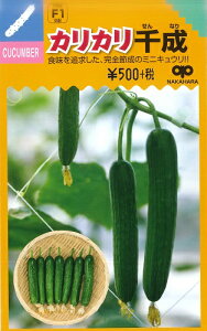 �y�~�j�L���E���z�J���J���琬 �y�����̎�� F1��z�z�i8���j��؎�[�t�܂�]