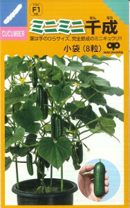 �y�~�j�L���E���z�~�j�~�j�琬 �y�����̎��F1��z�z�i8���j��؎�[�t�܂�]