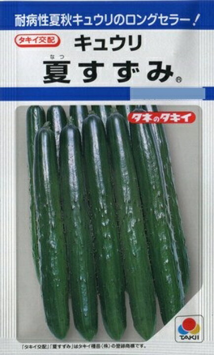 楽天市場】【キュウリ】夏すずみ 【タキイ種苗】（15粒）野菜種[春まき 