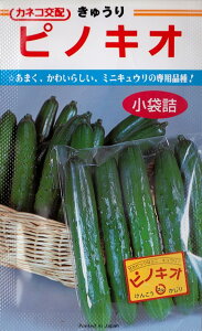 �y�L���E���z�s�m�L�I �y�J�l�R��z�z�i20���j��؎�[�t�܂�]