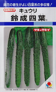 �y�L���E���z�鐬�l�t�i�����Ȃ肷���悤�j�y�^�L�C��z�z�i22���j��؎�/�^�L�C��c[�t�܂�]DF