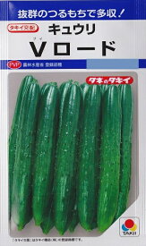 【キュウリ】Vロード【タキイ交配】（10粒）野菜種/タキイ種苗[春まき]DF