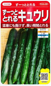 【ずーっととれるキュウリ】【一代交配】（16粒）野菜種/サカタのタネ [春まき]920407