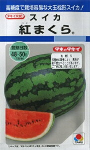 yXCJzg܂ y^LCzzi8j؎/^LCc[t܂]DF