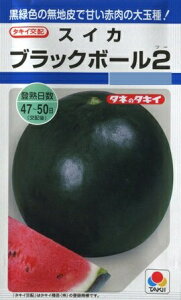 yXCJzubN{[2 y^LCzzi9j؎/^LCc[t܂]DF