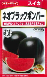 y珬ʃXCJzlIubN{o[ y^LCzzi7j؎/^LCc[t܂]NL