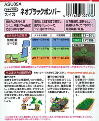 袋裏→クリックして拡大