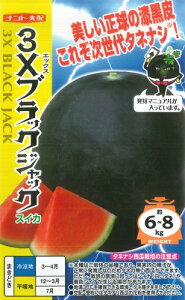 yȂXCJz3XubNWbN@igc@8@؎q