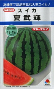 yXCJzĕP(Ԃ) y^LCzzi9j؎/^LCc[t܂]DF