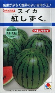 yXCJzg y^LCzzi8j؎/^LCc[t܂]DF