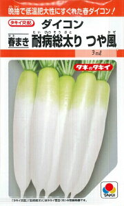 �y�_�C�R���z�t�܂��ϕa������@�╗�y�^�L�C��z�z�i3ml�j��؎�[�t�܂�]RF