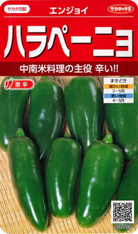 ハラペーニョの種【エンジョイ】サカタのタネ