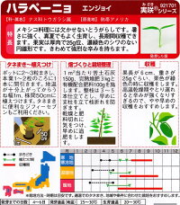 袋裏→クリックして拡大