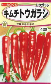 【トウガラシ】キムチトウガラシ【光輝】（1ml）【トーホク】野菜種[春まき]