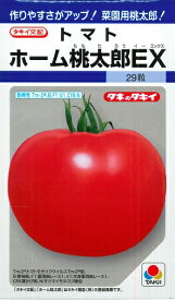 【トマト】ホーム桃太郎EX【タキイ種苗】（29粒）野菜種[春まき]DF