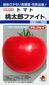 【トマト】桃太郎ファイト 【タキイ交配】（16粒）野菜種/タキイ種苗[春まき]DF