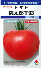 【トマト】桃太郎T93 【タキイ交配】（16粒）野菜種/タキイ種苗[春まき]DF