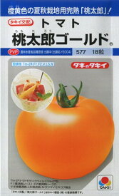 【トマト】桃太郎ゴールド 【タキイ種苗】（16粒）野菜種[春まき]DF