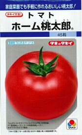 【トマト】ホーム桃太郎 【タキイ種苗】（45粒）野菜種[春まき]DF