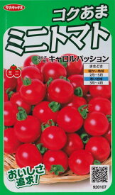 【こくあまミニトマト】キャロルパッション【サカタ交配】（12粒）野菜種[春まき]920107