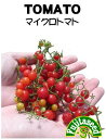 【マイクロトマトの種】【藤田種子】（30粒）野菜種[春まき]