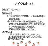 袋裏
