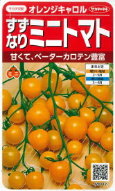 【すずなりミニトマト（オレンジ）】オレンジキャロル【サカタ交配】（15粒）野菜種[春まき]920112