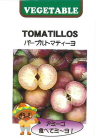 【パープルトマティーヨ】（トマティロ）【藤田種子】（20粒）野菜種[春まき]