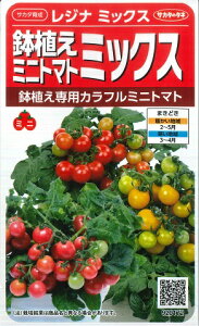 yA~jg}g~bNXzWi~bNXyTJ^̃^lzi0.6mlj؎[t܂]920172