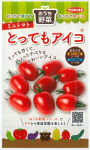 �y�~�j�g�}�g�z�Ƃ��Ă��A�C�R�y�T�J�^��z�z�i12���j��؎�[�t�܂�]920190