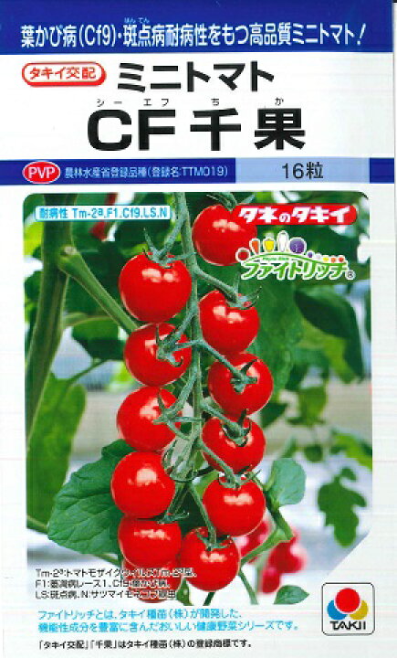 値引きする 野菜の種 トマトの種 18粒 CF桃太郎ファイト DF 果菜