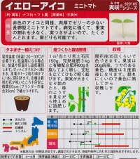 袋裏→クリックして拡大